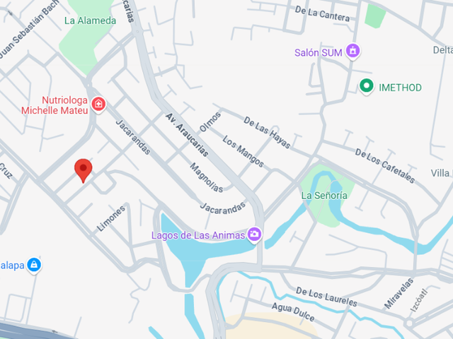 place photo 10