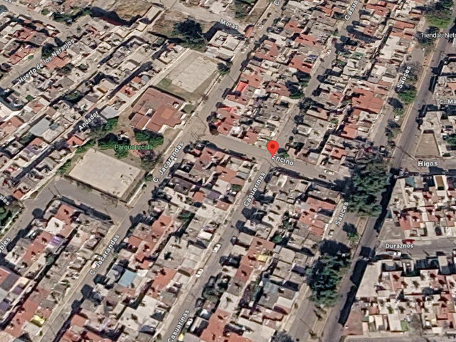 place photo 13