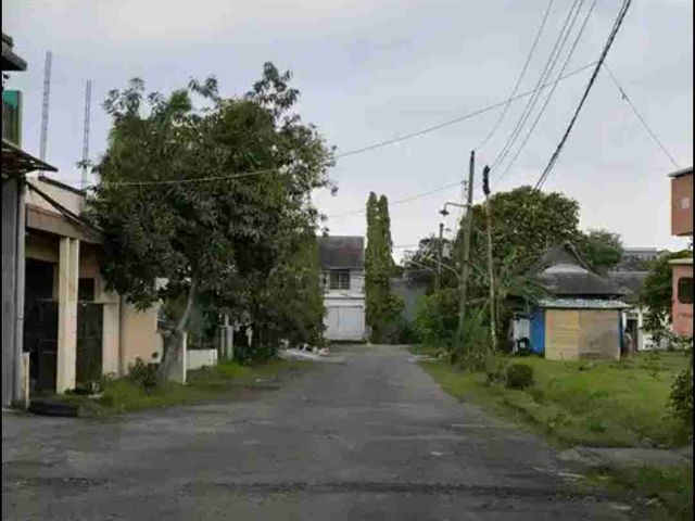 place photo 13