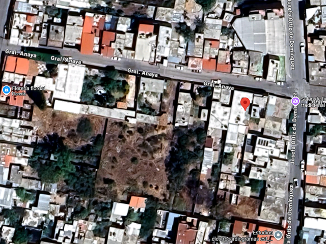 place photo 7