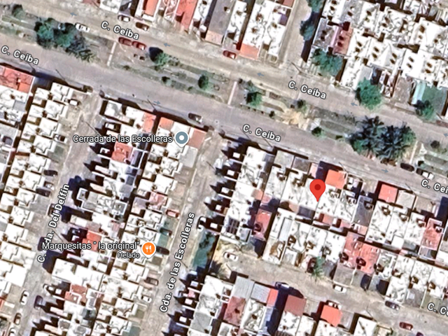 place photo 8