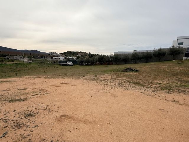 place photo 50