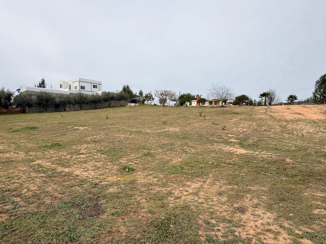 place photo 38