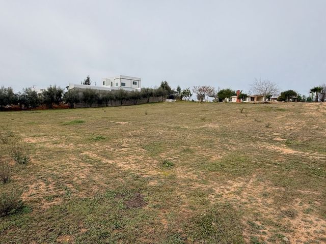 place photo 40