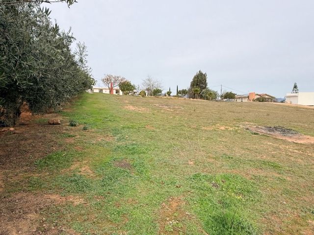place photo 45