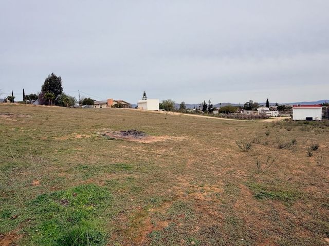 place photo 44