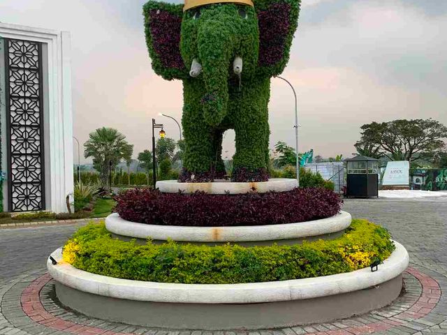 place photo 19