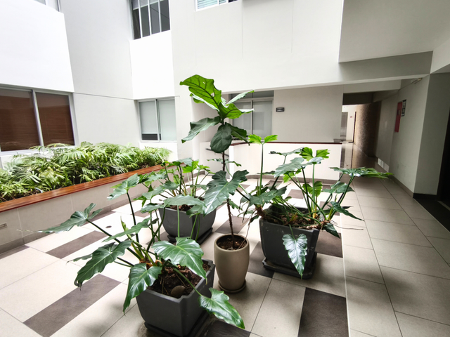 place photo 22