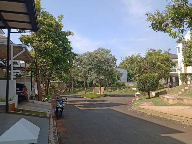place photo 17