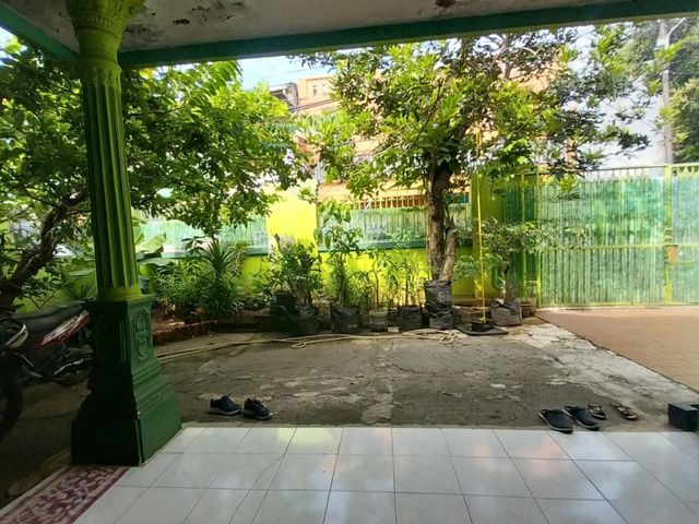 place photo 11