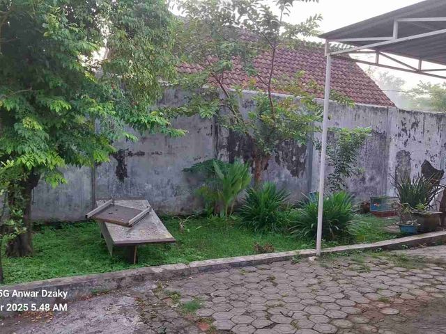 place photo 5