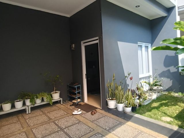 place photo 13