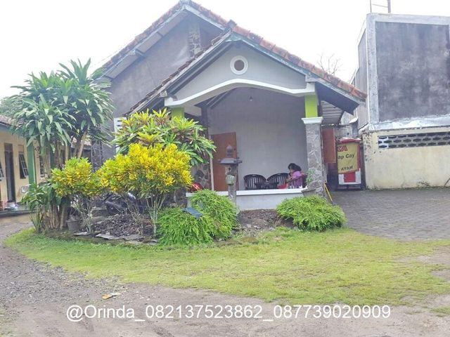 place photo 1