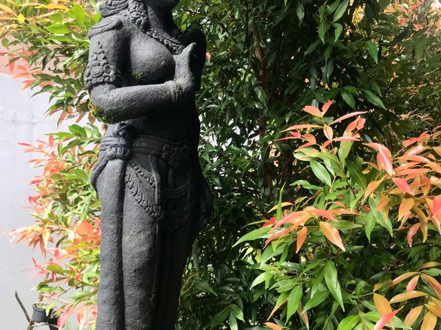 place photo 22