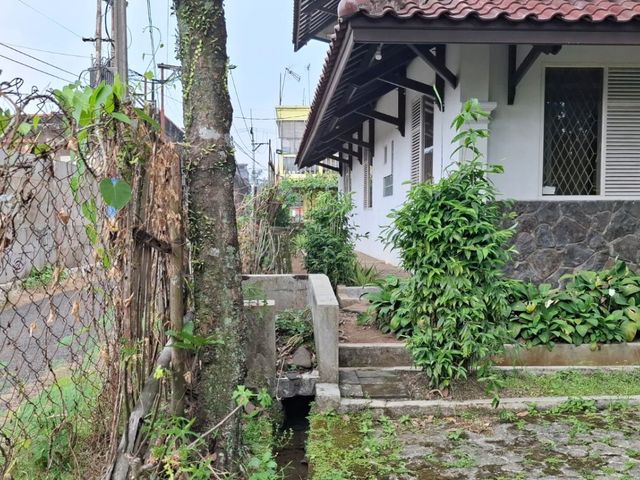place photo 31