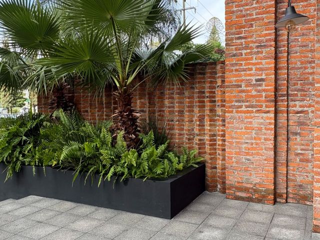 place photo 35