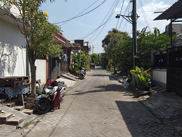 place photo 13