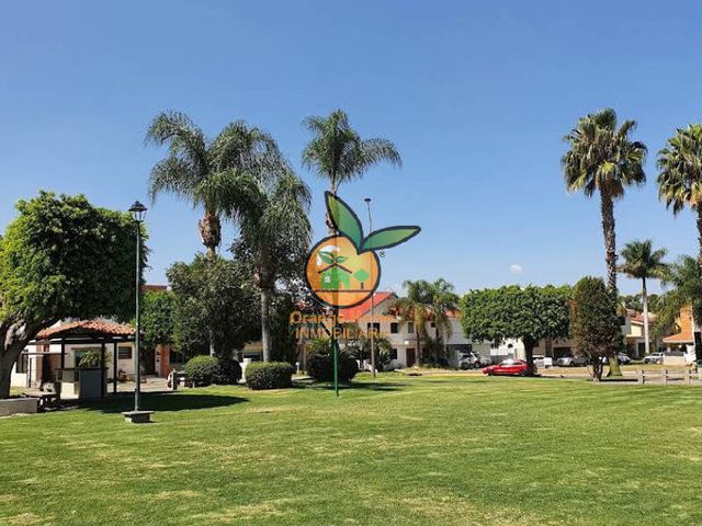 place photo 27