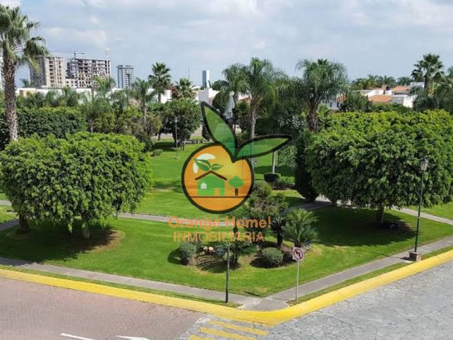 place photo 26