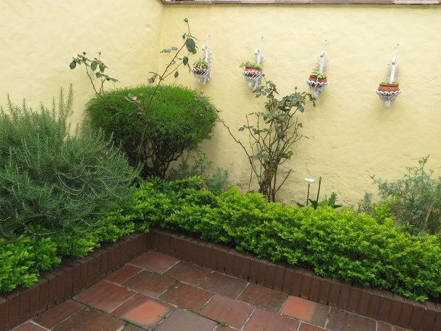 place photo 16