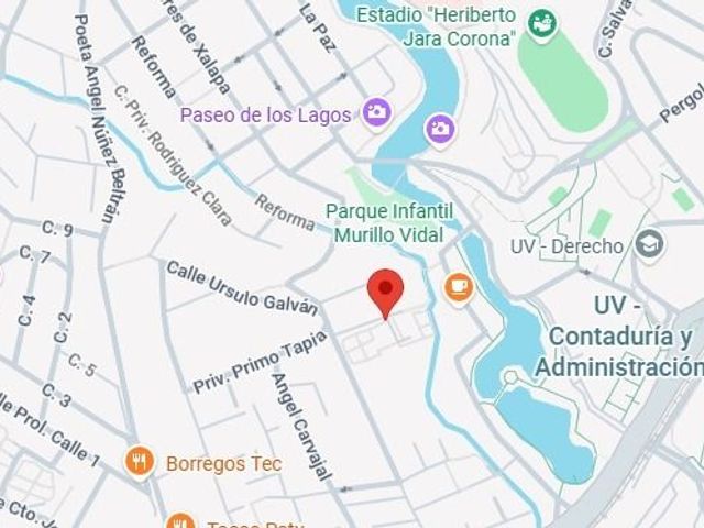 place photo 11