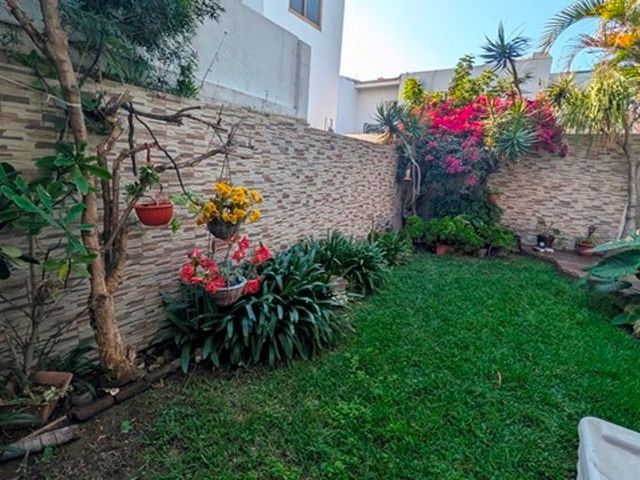place photo 38
