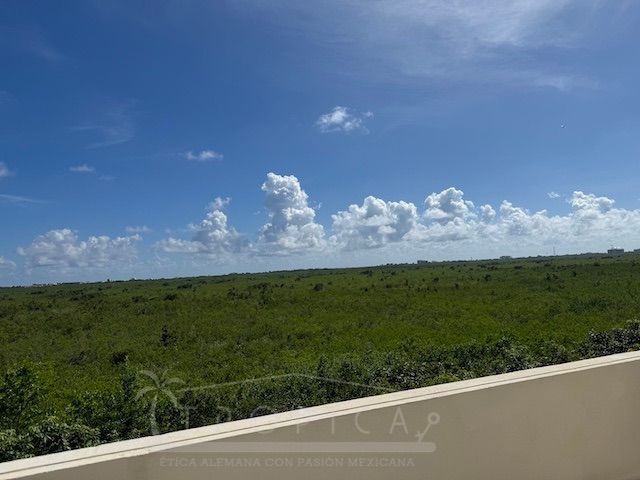 place photo 46