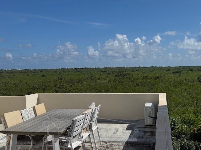 place photo 47