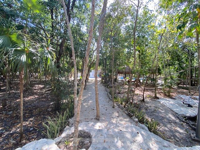 place photo 65