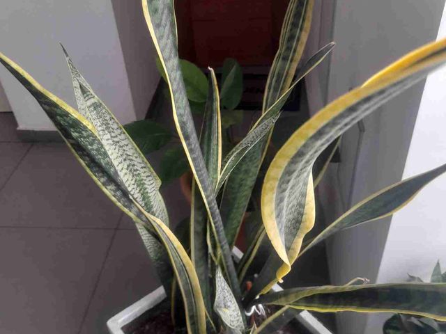 place photo 35