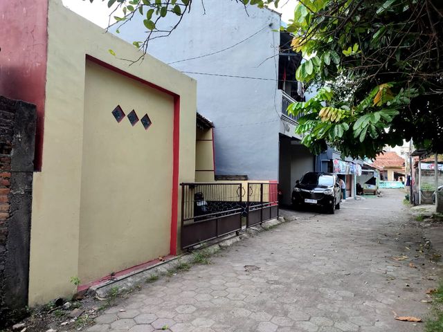 place photo 5