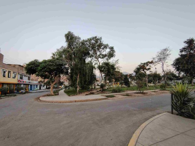 place photo 28