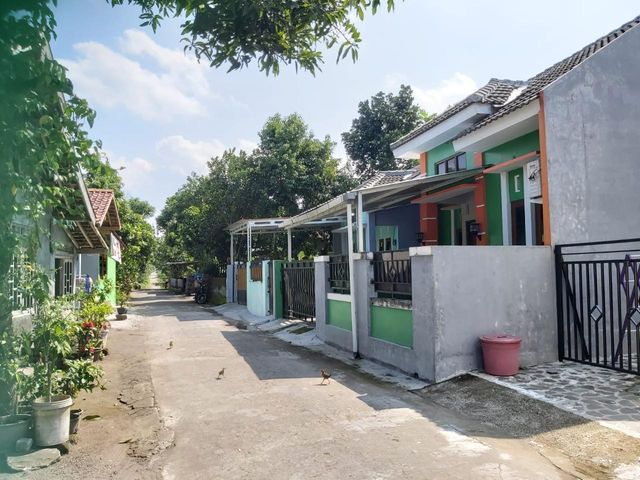 place photo 4