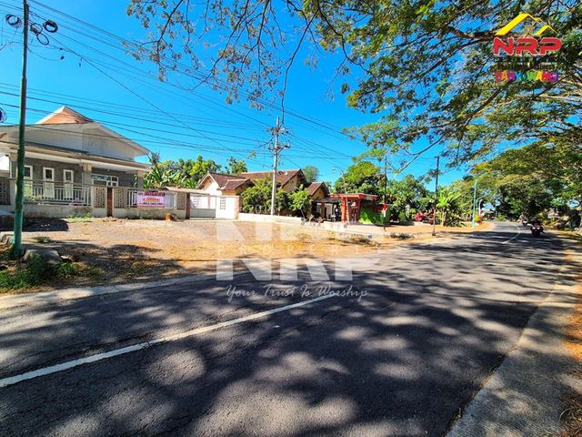 place photo 3