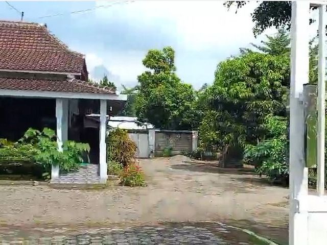 place photo 12