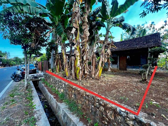 place photo 9