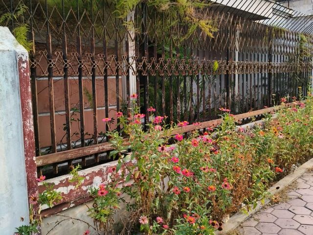 place photo 38