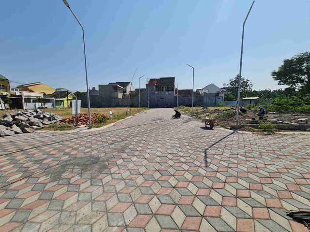 place photo 11