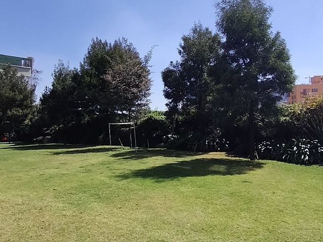 place photo 34