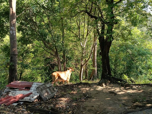 place photo 17