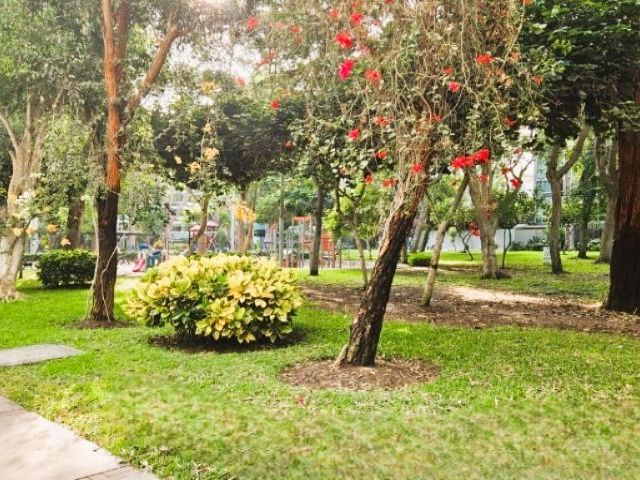 place photo 23