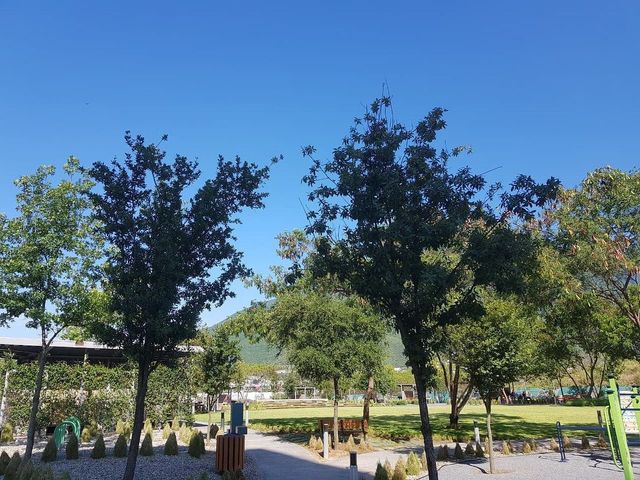 place photo 19