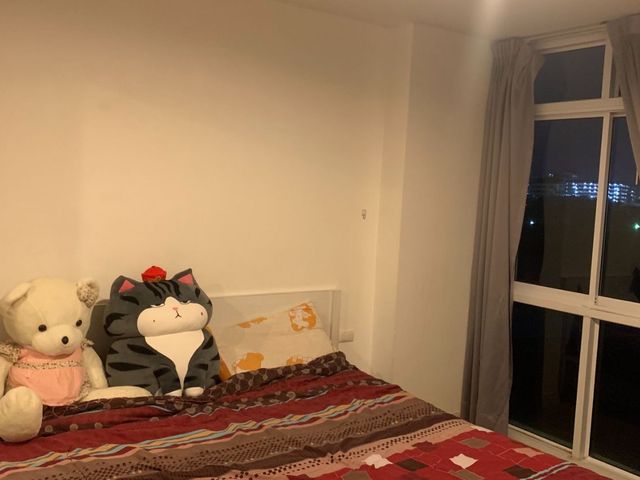 place photo 24