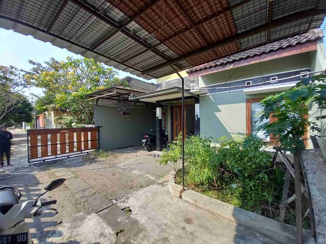 place photo 11