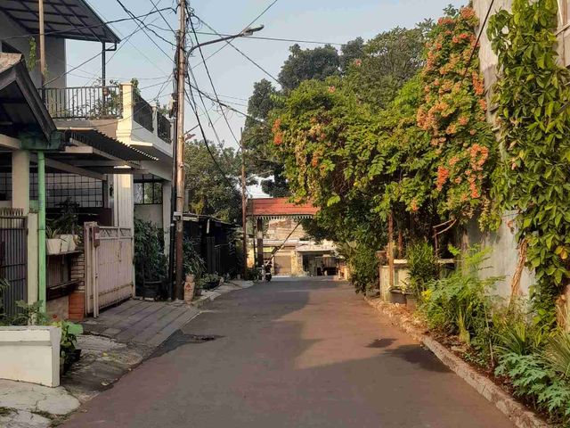 place photo 19