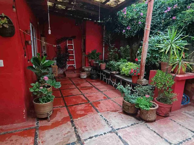 place photo 34