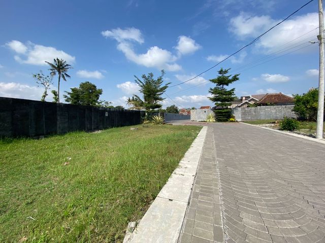 place photo 14