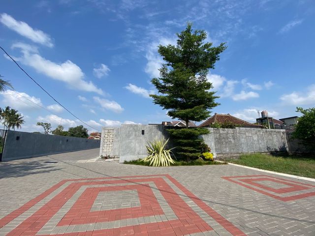 place photo 15