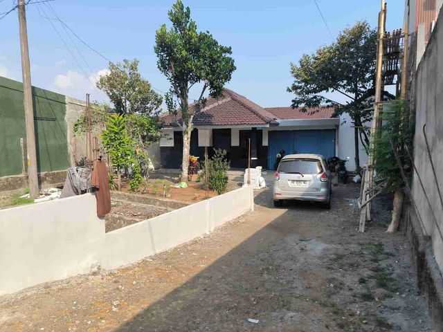 place photo 12