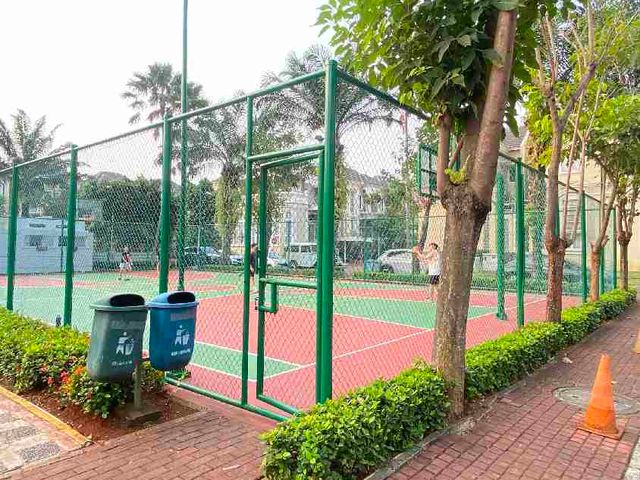place photo 13